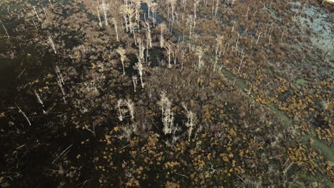 point remove wildlife area, blackwell, ar, showcasing a vibrant marshland, aerial view