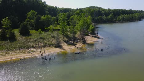 Fix-point-spin-around-a-peninsula-of-dead-trees-in-Dune-Harbor