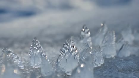 close-up of ice crystals on snow