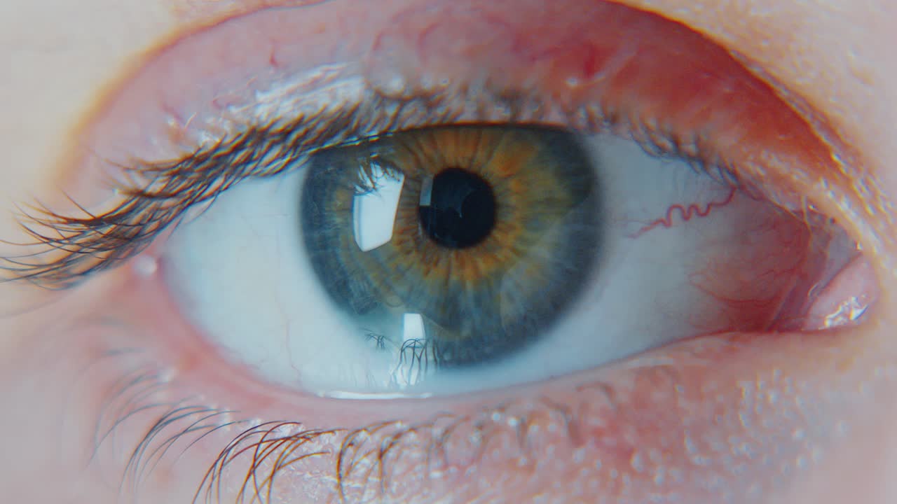 인간 눈의 클로즈업