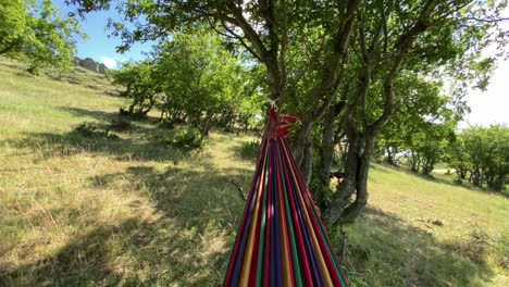 static wide shot of a hammock outdoors in the forest