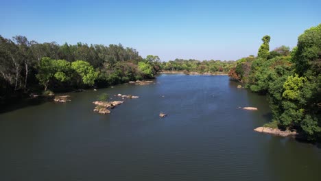 drone flying over a river with trees on both sides