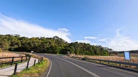 a peaceful drive through lush greenery