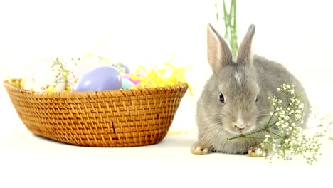 huevos de pascua en canasta de mimbre y conejo de pascua