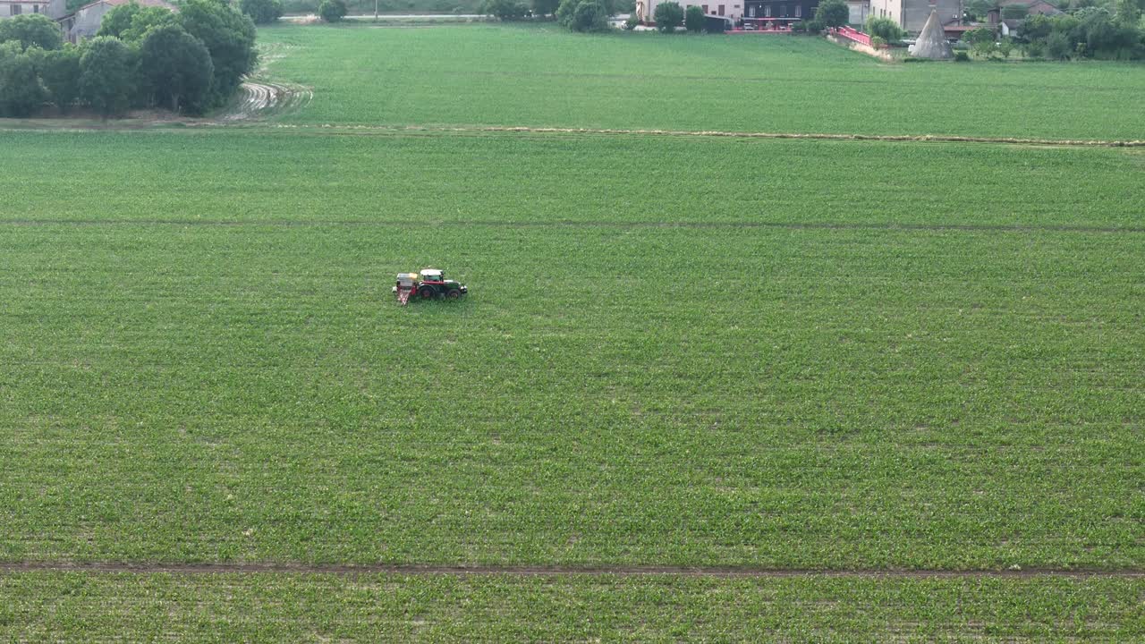 Aerial tracking and pull-away shot of a tractor operating in a lush green maize field, showcasing modern agricultural machinery and the vast, well-maintained farmland under clear summer skies