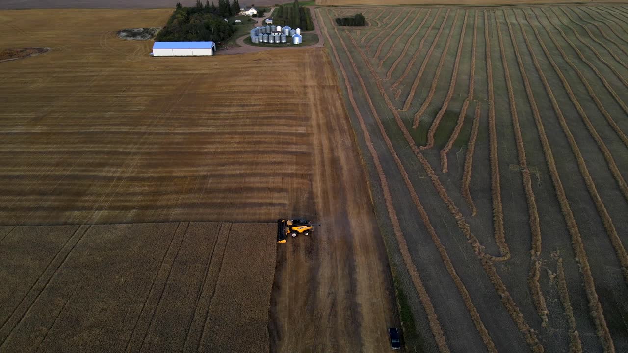 작물 수확기 가 밀 을 수확 하는 공중 에서 볼 수 있는 모습