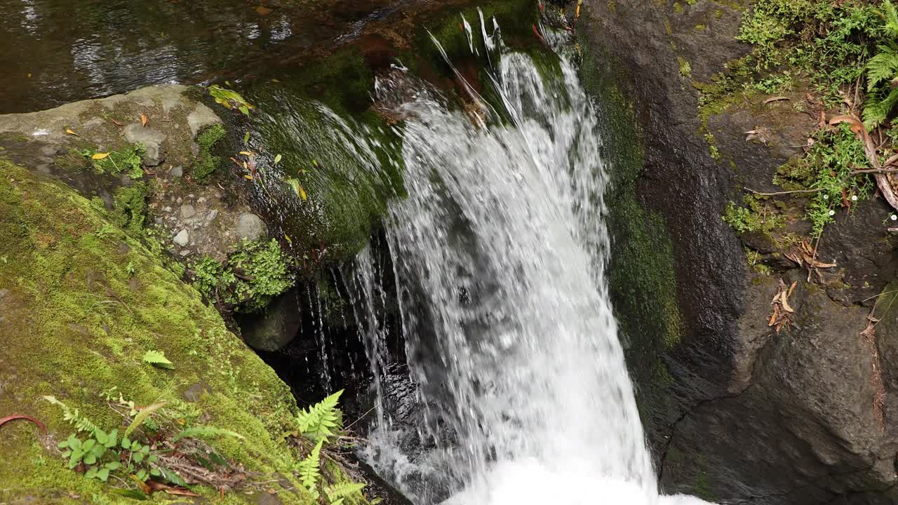 el agua fluye por un arroyo rocoso en el parque das frechas en portugal - ángulo alto
