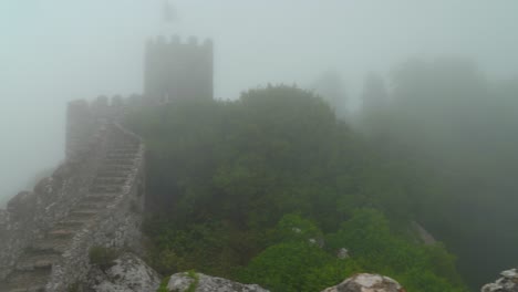 vue panoramique sur le château des landes avec un épais brouillard humide soufflant à travers les arbres