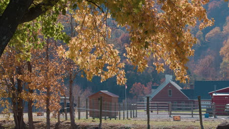 Herbstblätter-Auf-Einem-Baum-Mit-Blick-Auf-Den-Bauernhof-In-Einer-Kleinstadt