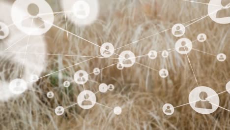 Animation-of-network-of-connections-with-people-icons-over-grass