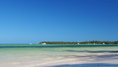 tropical beach paradise