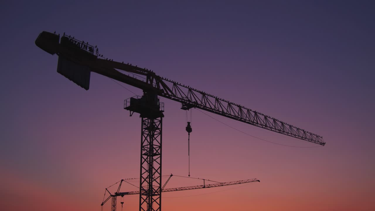 la cámara se mueve hacia las grúas de construcción con pájaros al atardecer