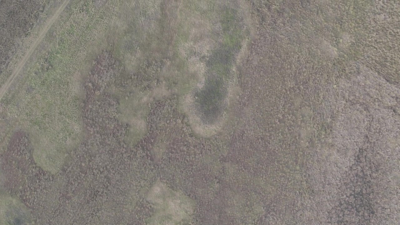 Drone flies forward in a top-down view above expansive marsh grasslands, showcasing the natural textures and open wetlands of Campos del Tuyú, Argentina.