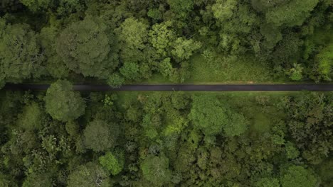 Aerial:-Straight-road-through-lush-dense-vivid-green-tropical-forest