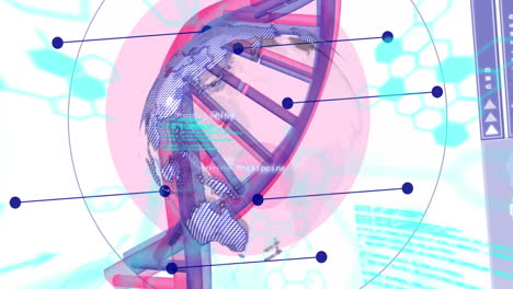 animación del procesamiento de datos y el globo giratorio sobre el adn giratorio y las estructuras químicas