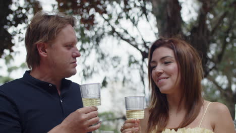 handheld shot of happy couple clinking glasses and drinking champagne at picnic while looking at the camera