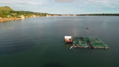 Aerial-view-of-fispen-cage-farm-in-bay-revealing-coastline,-Philippines