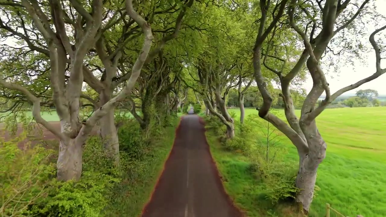 Travelling 4K 60FPS aerial video of The Dark Hedges in Bushmills, County Antrim in Northern Ireland. Produced in 3840x2160 with Rec709 color.