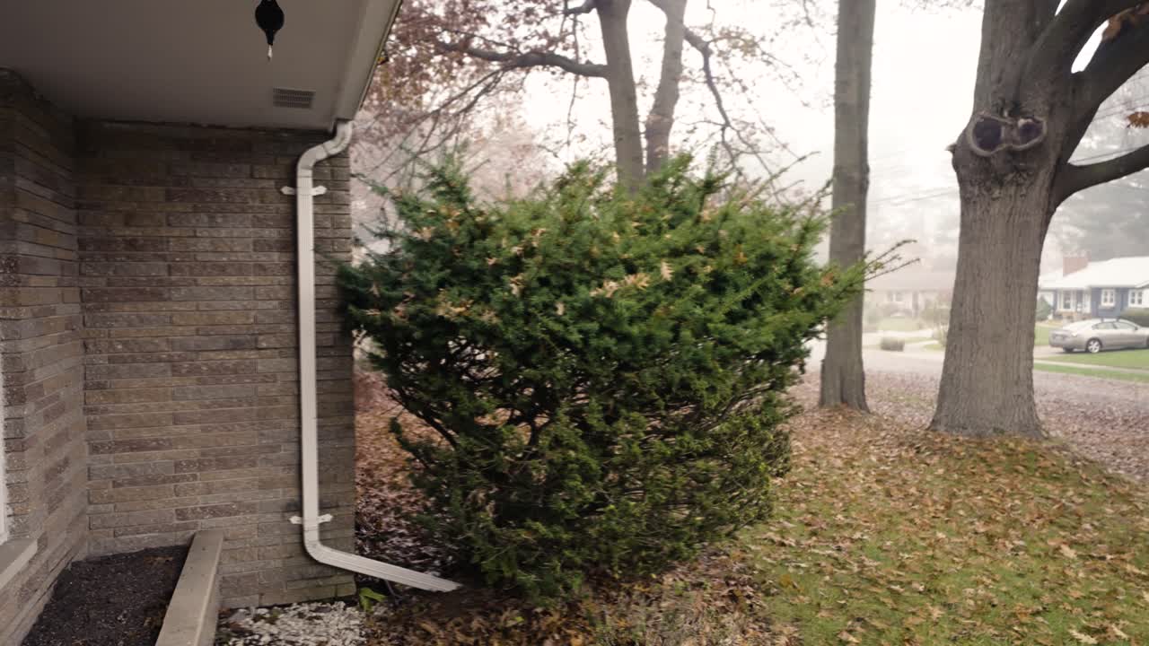 Misty fall weather in suburbia