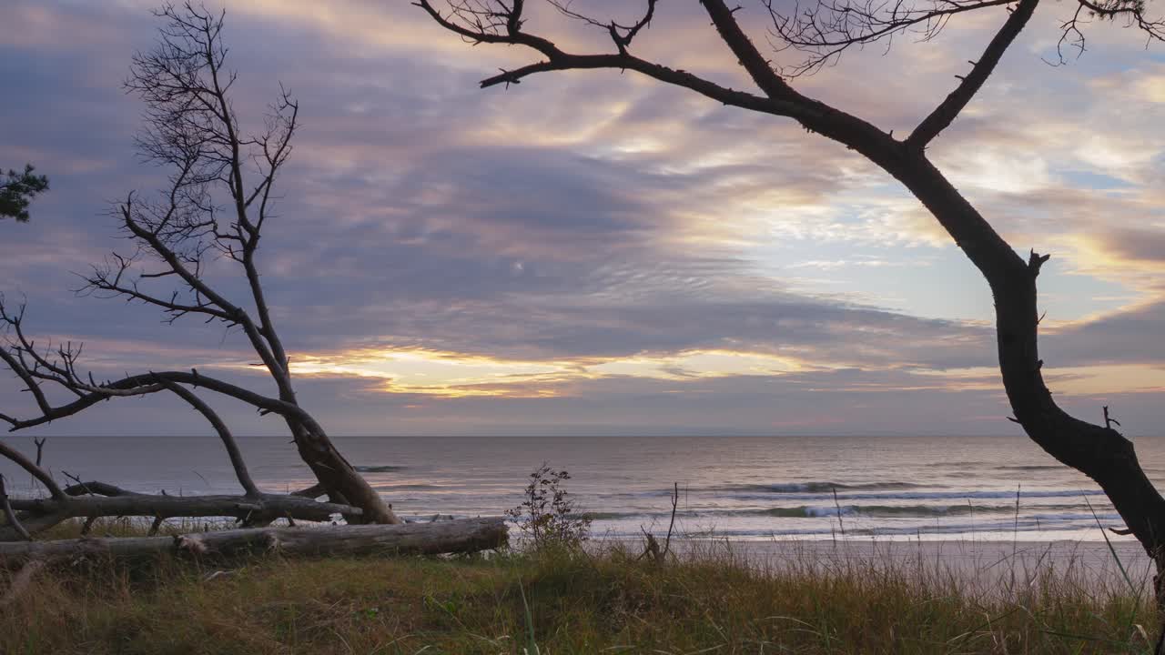 hermoso lapso de tiempo de vibrantes nubes en rápido movimiento sobre la costa del mar báltico, noche antes de la puesta del sol, paisaje natural en movimiento, playa de arena blanca, árboles en primer plano, toma de gran angular
