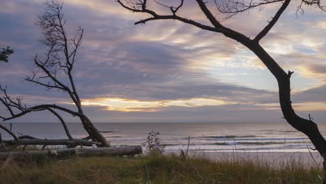 Beautiful-timelapse-of-vibrant-fast-moving-clouds-over-the-Baltic-sea-coastline,-evening-before-the-sunset,-nature-landscape-in-motion,-white-sand-beach,-trees-in-foreground,-wide-angle-shot