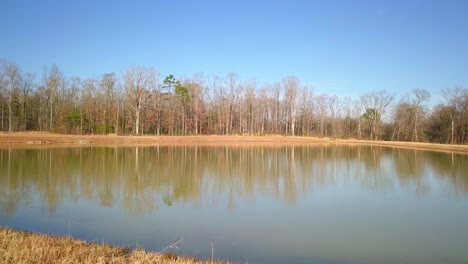 Small-lake-tree-lined-shore-reflection-blue-sky