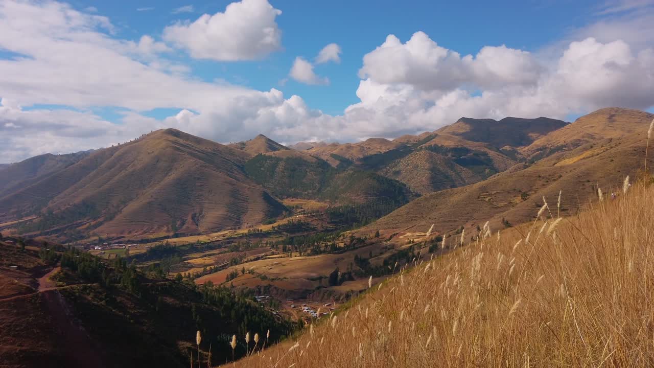 Golden alpine grass sways with a scenic view of rolling mountains and valleys near Cusco, Peru. Trek leading to Huanacaure ruins