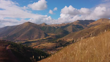 golden alpine grass sways with a scenic view of rolling mountains and valleys near cusco, peru. trek leading to huanacaure ruins
