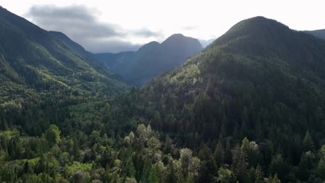 Amplia-Vista-Aérea-De-Las-Montañas-En-El-Estado-De-Washington-Cubiertas-De-Bosques-De-árboles-De-Hoja-Perenne