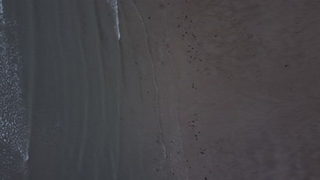 Aerial-Birdseye-view-following-ocean-tide-ripples-towards-sandy-beach-shoreline