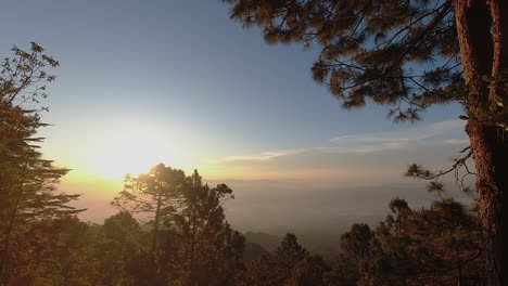 Golden-sun-rises-over-tropical-mountain-conifer-forest-and-valley-mist