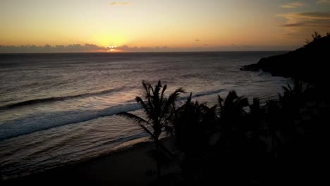 timelapse of drone standing still over the ocean as the sun sets and palm trees move in the wind warm colors of the sun