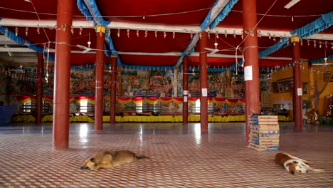 inside view of a buddhist residency with dog sleeping in cambodia