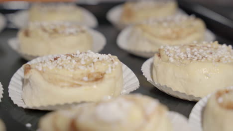 Close-up-of-unbaked-cinnamon-buns