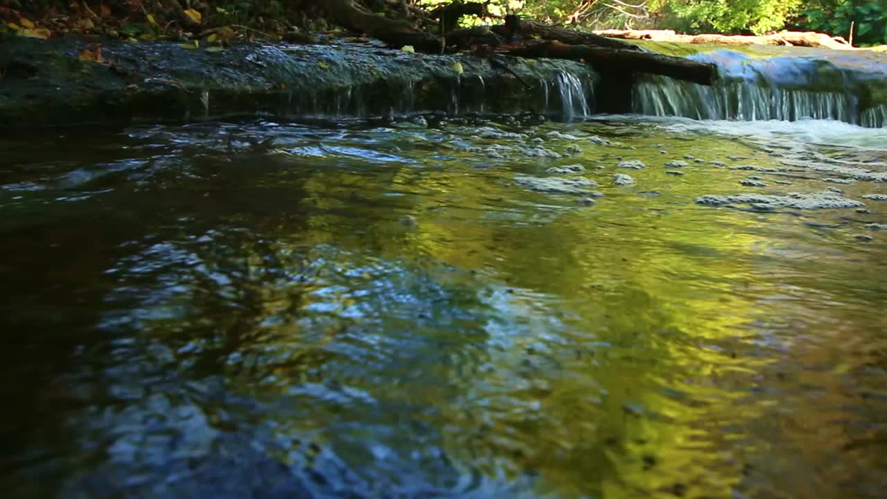 뒤에 있는 나무에서 반사되는 많은 색상을 지닌 넓은 수영장으로 떨어지는 작은 폭포