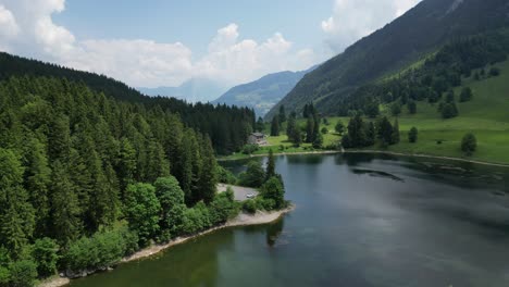 lake obersee adorned by beautiful green nature filled with alpine trees and meadows