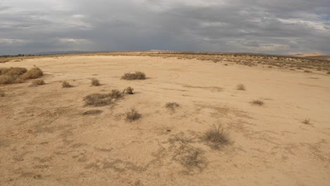 first person high-speed flight over the flat landscape of the mojave desert on an overcast day