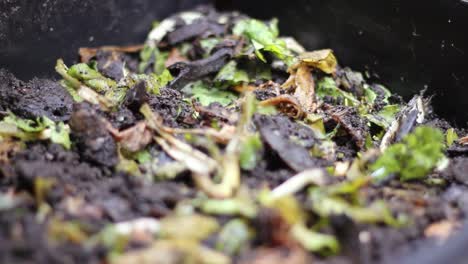 close up of compost waste, macro lense, shallow depth of field