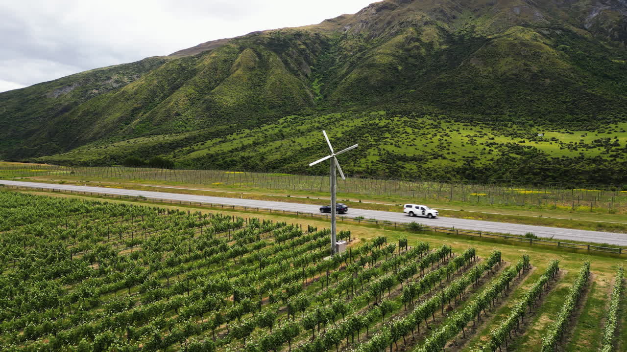 와인 밸리 장면, 백그라운드에서 여행하는 자동차