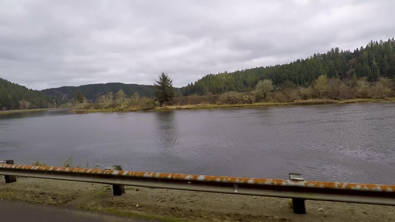 아름다운 더글러스 전나무가 산을 배경으로 오레곤의 강 옆에서 운전