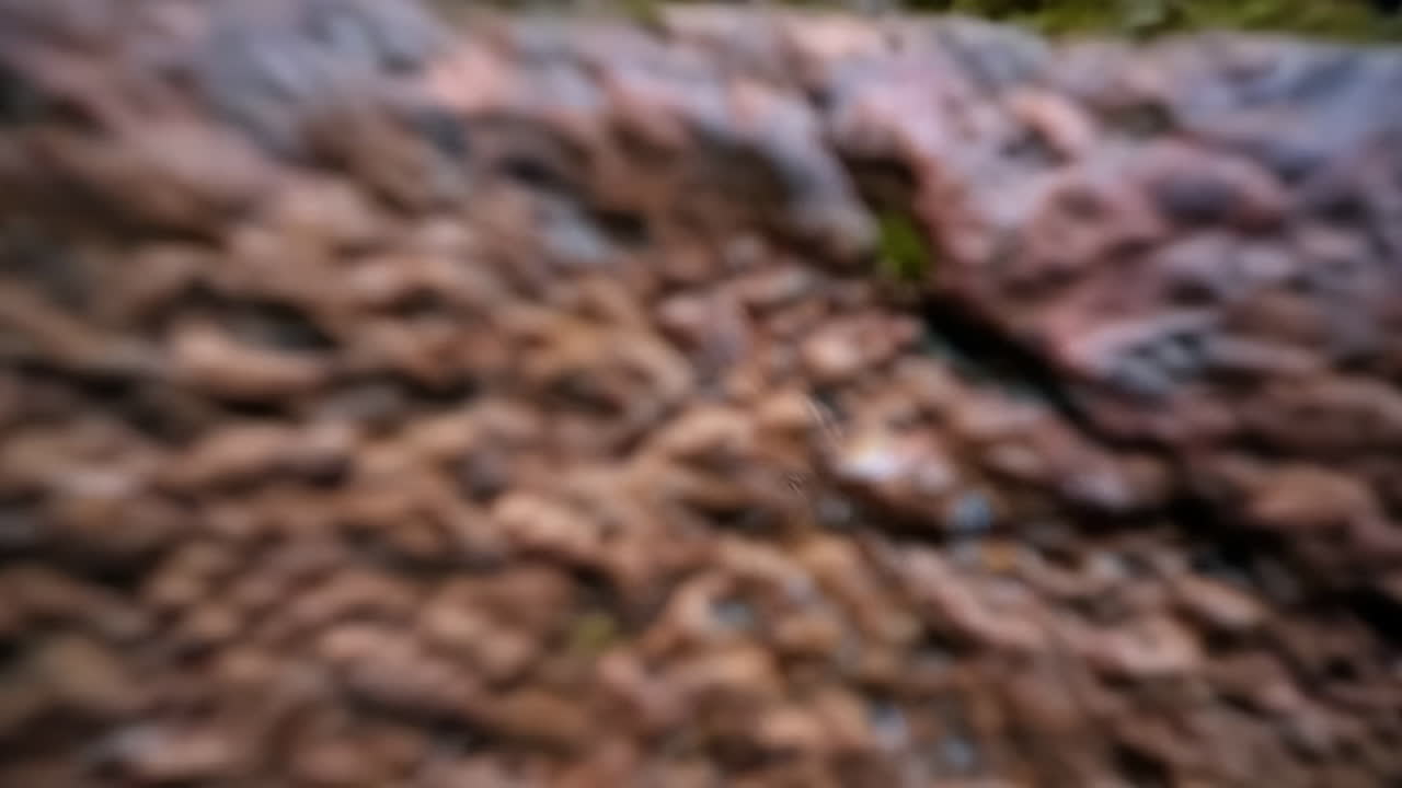 textura de pared de ladrillo rojo viejo