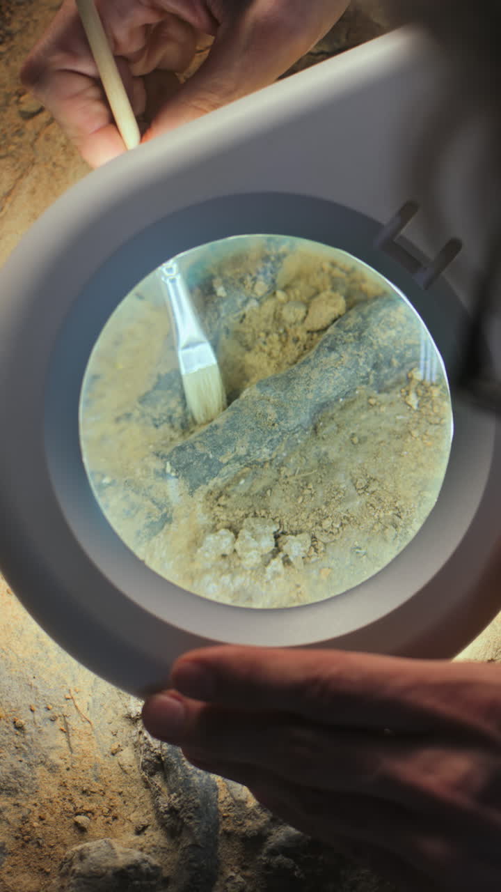 화석 을 조사 하는 고고학자