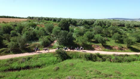 horse riding in the nature 3