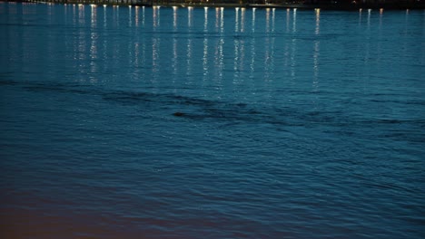calm water of the danube river reflecting city lights at night in budapest, hungary, 2024