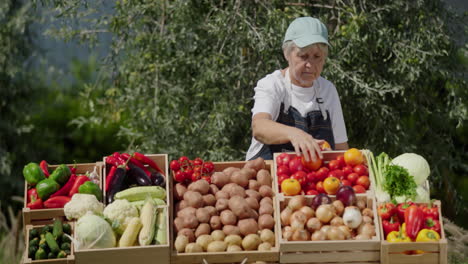 agricultora anciana vendiendo verduras en el mercado de agricultores