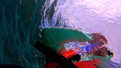 snorkeling over the reefs off the beaches of tulum, quintana roo