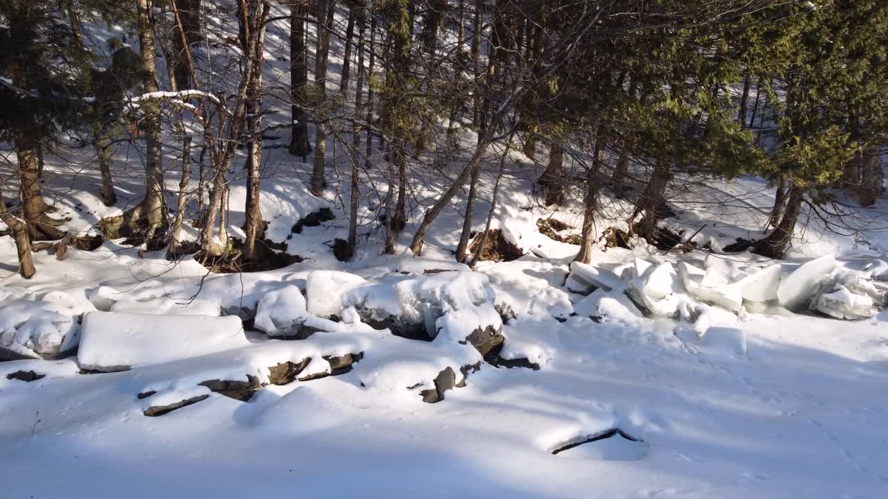 Snow covered outdoor woodland forest nature outside cold weather Canada North America