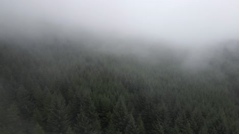 Drohnenschuss-Fliegt-Durch-Wolken-über-Einem-Wald-In-Irland