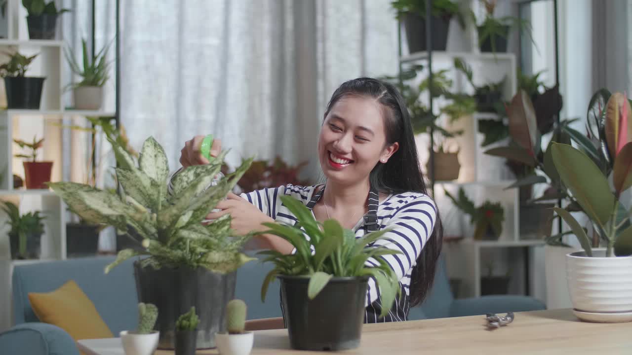 집 에서 식물 에 물 을 주고 있는 여자