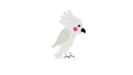 cartoon white cockatoo